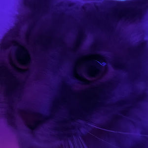 Meet your Posher, Ashlyn